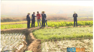 《每日新聞》：個舊市雞街鎮(zhèn)倘甸雙河流域土壤改良修復(fù)示范項目進展順利