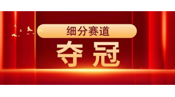 奪冠 | 博世科獲評(píng)“2023年廣西制造業(yè)單項(xiàng)冠軍示范企業(yè)”