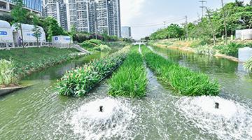 城市黑臭水體治理